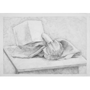 1. ročník, Nikola Nováková