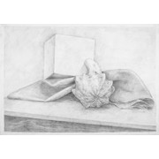 1. ročník, Eliška Žáková