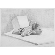 1. ročník, Anežka Švejcarová