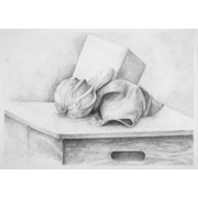 1. ročník, Michaela Hadincová