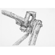 1. ročník, Nikola Nováková