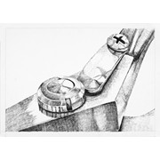 1. ročník, Anežka Švejcarová