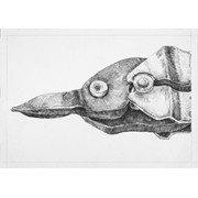 1. ročník, Berta Koumarová