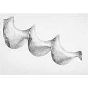 1. ročník, Eliška Žáková